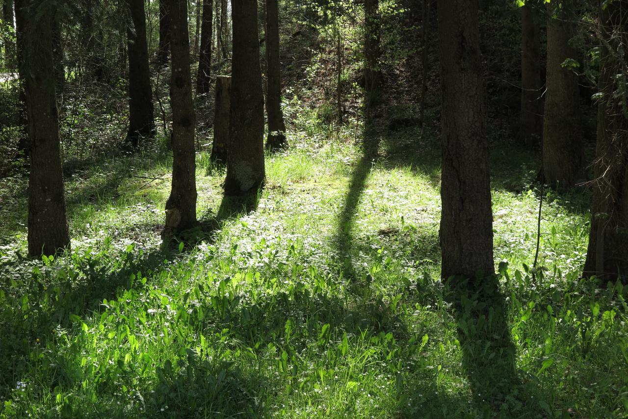 Seegasthof Franz Bolz Gbr Ellwangen Kültér fotó